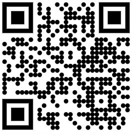 Biziie Card